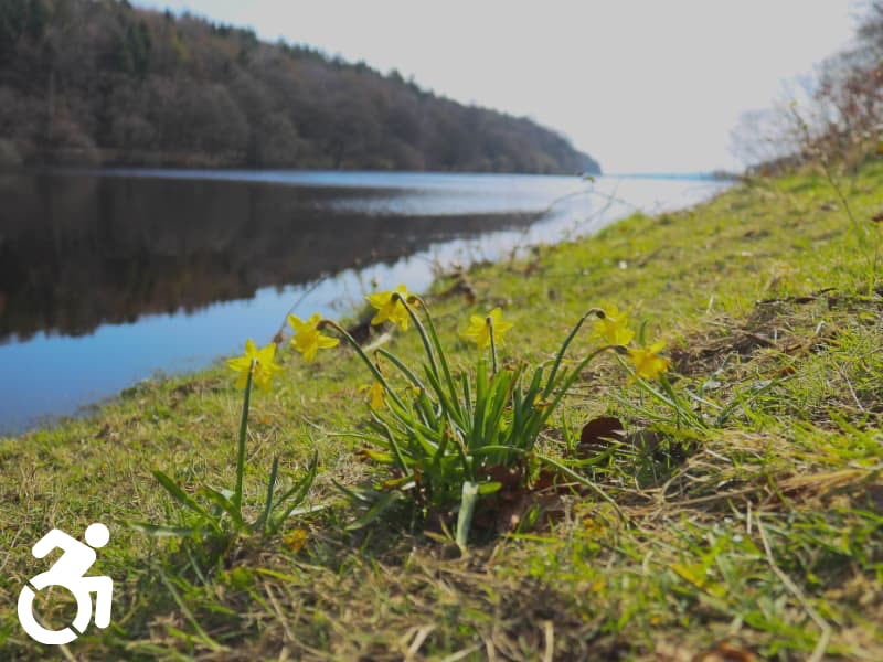 Damflask Reservoir