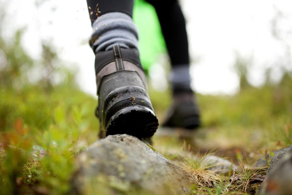 Eco-Friendly Stay Pic 2 Eco-Friendly Stay