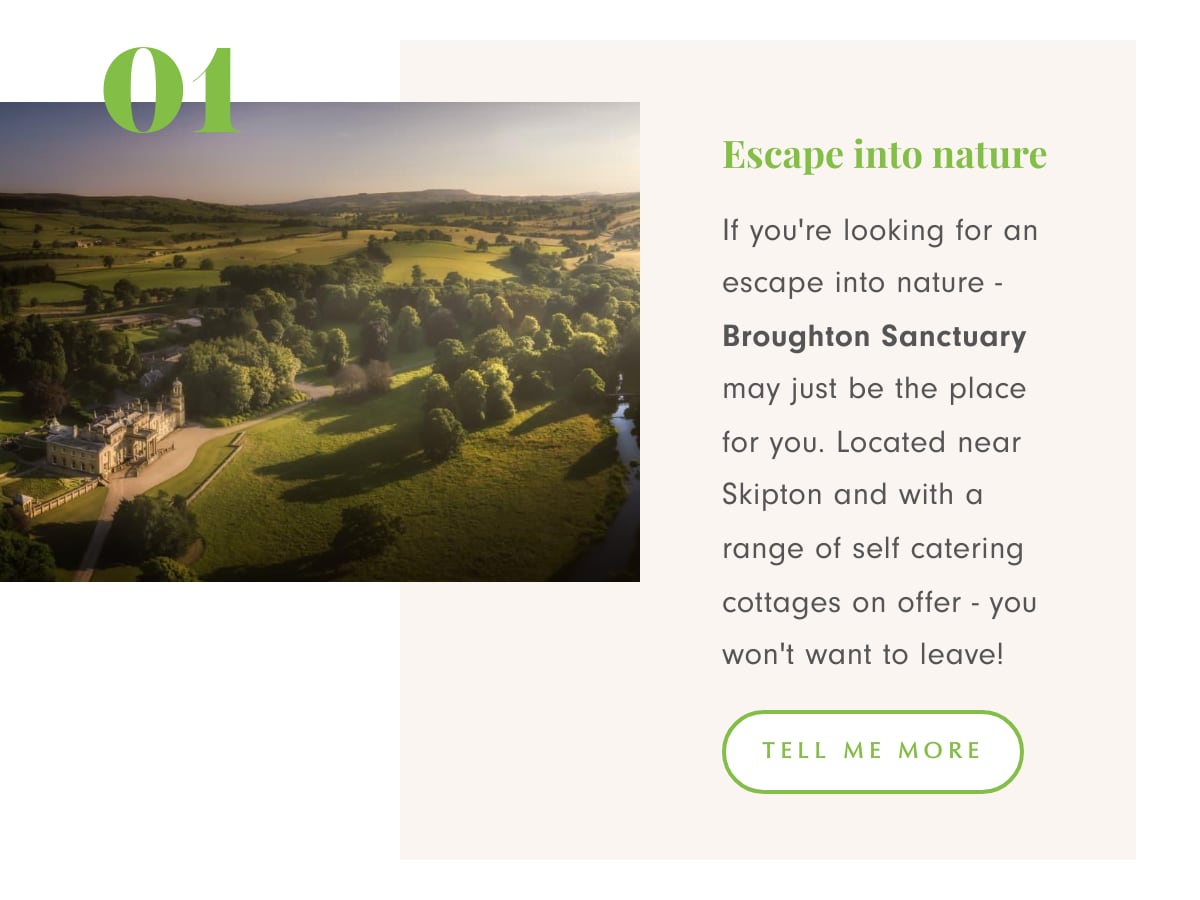 Sunshine strolls 1 Sunshine strolls