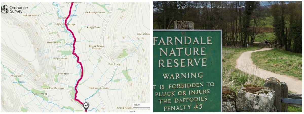 Sunshine strolls B Sunshine strolls