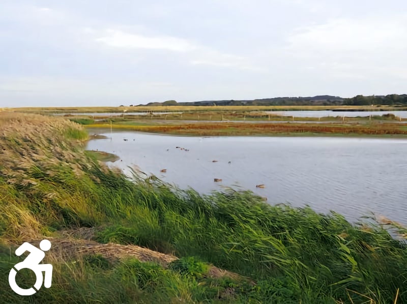 Titchwell Marsh