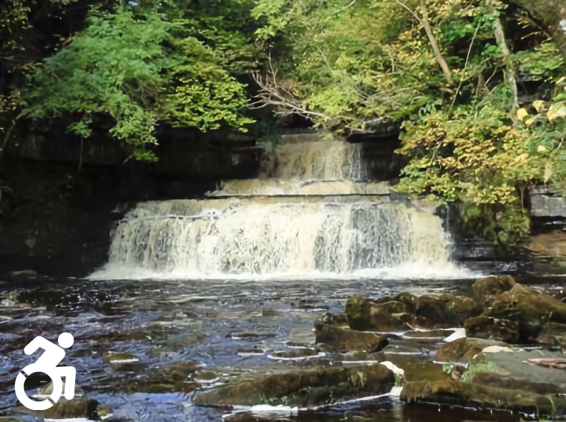 Cotter Force