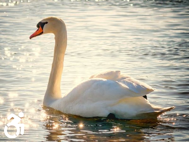 Skipton to Saltaire Canal Walk