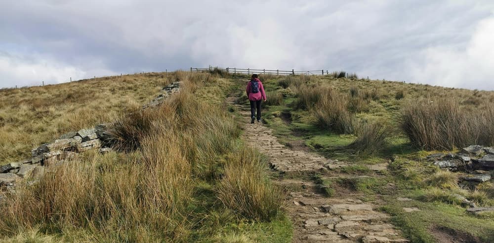 Foodie Workshops A Foodie Workshops