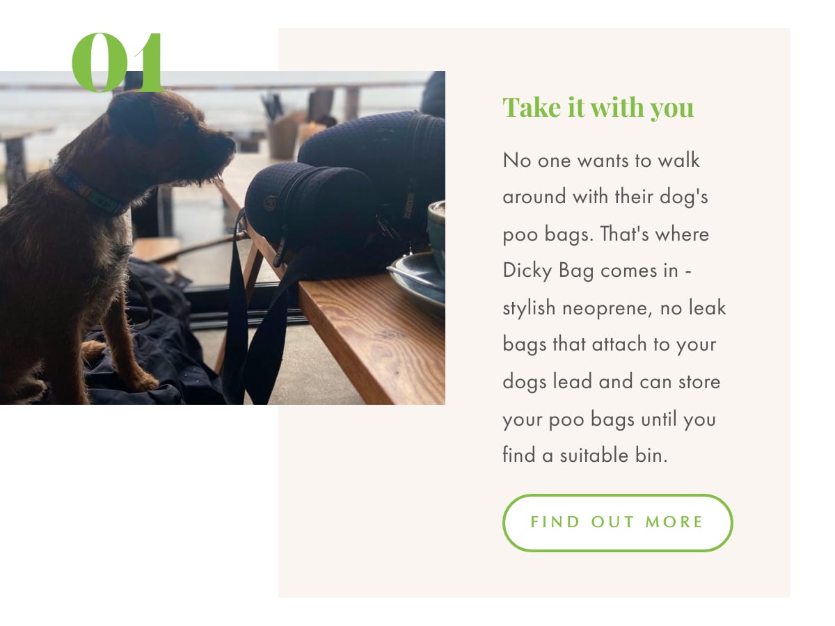 Getting outside with mans best friend