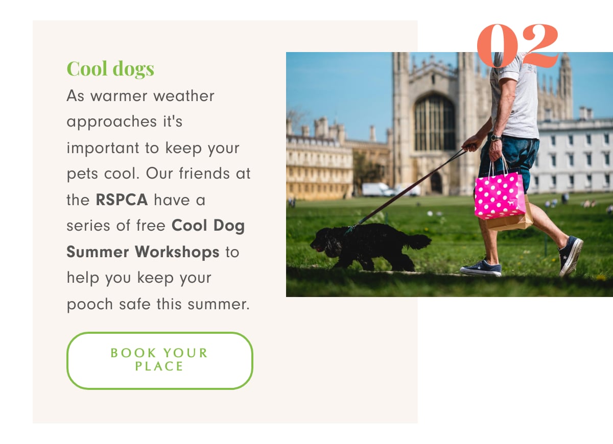 Getting outside with mans best friend