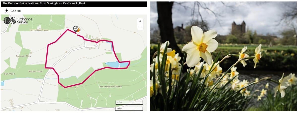 Getting outside with mans best friend