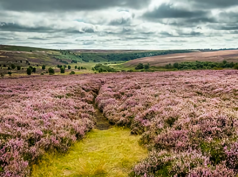 Bell End - North Dale