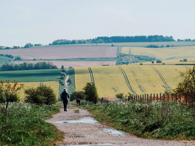 Celebrating the solstice