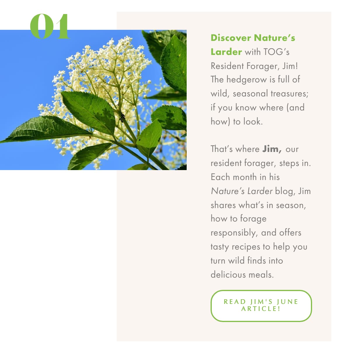 Celebrating the solstice Pic 1 Celebrating the solstice