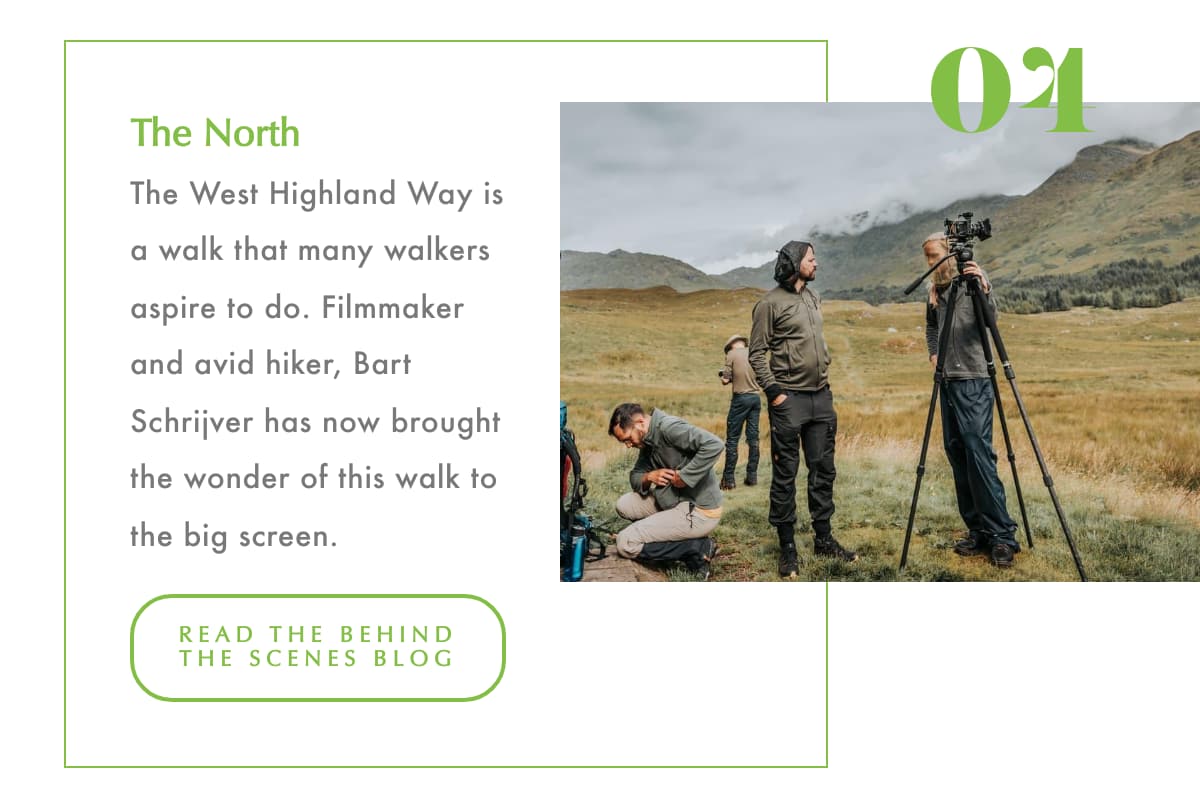 Celebrating the solstice Pic 4 Celebrating the solstice