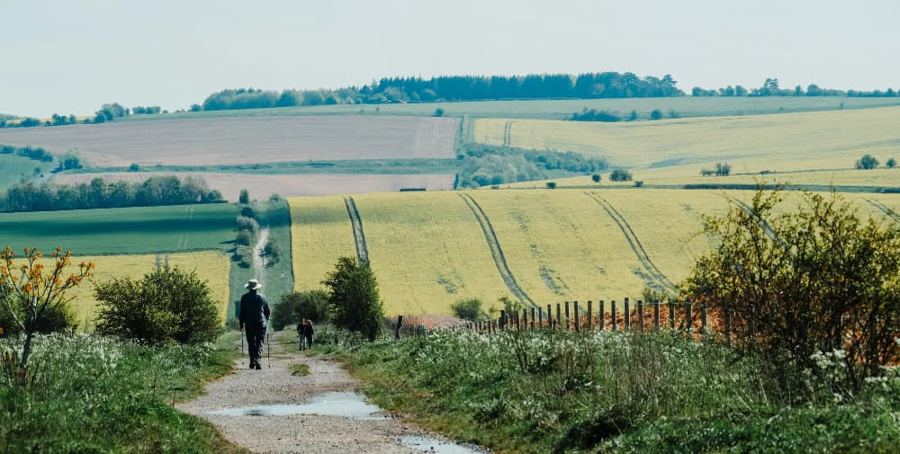Celebrating the solstice Pic A Celebrating the solstice