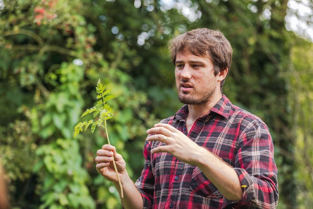 Celebrating the solstice Pic D Celebrating the solstice