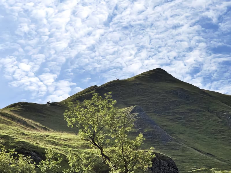 Coldwall Thorpe and Mappleton