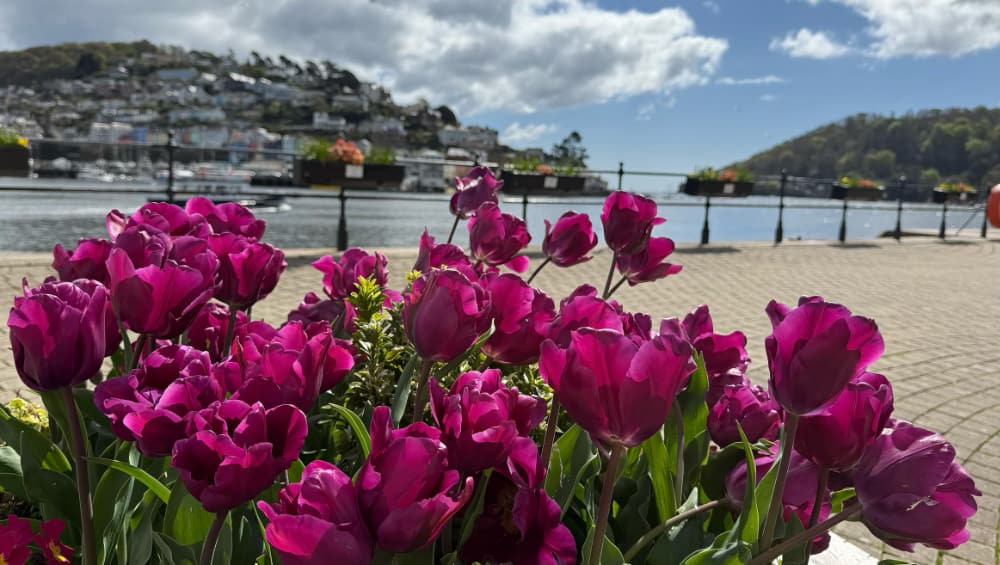 Dartmouth Grove Blog