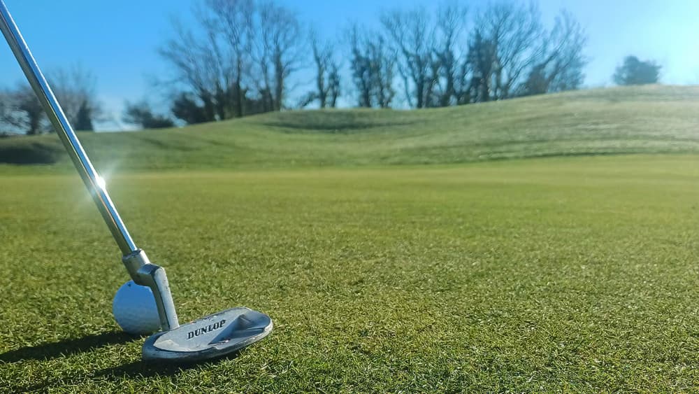 Dartmouth Grove Blog