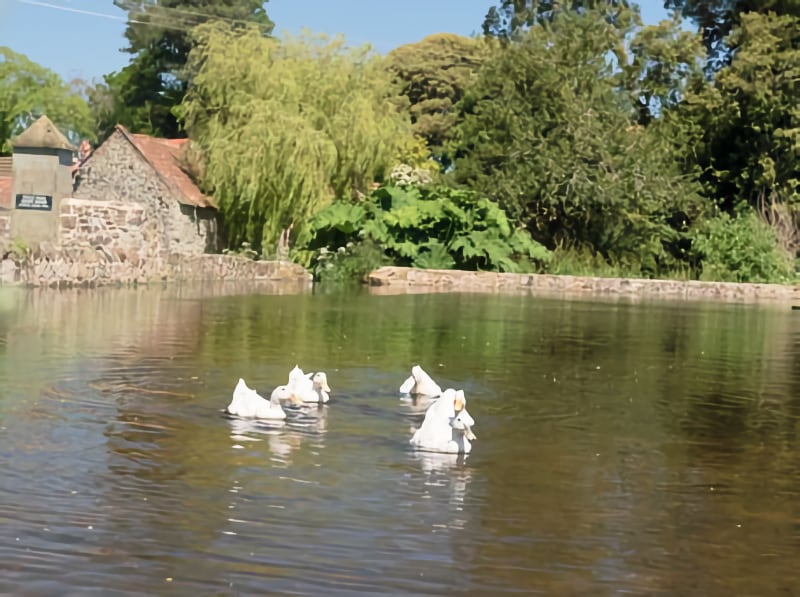 Doniford East Quantoxhead