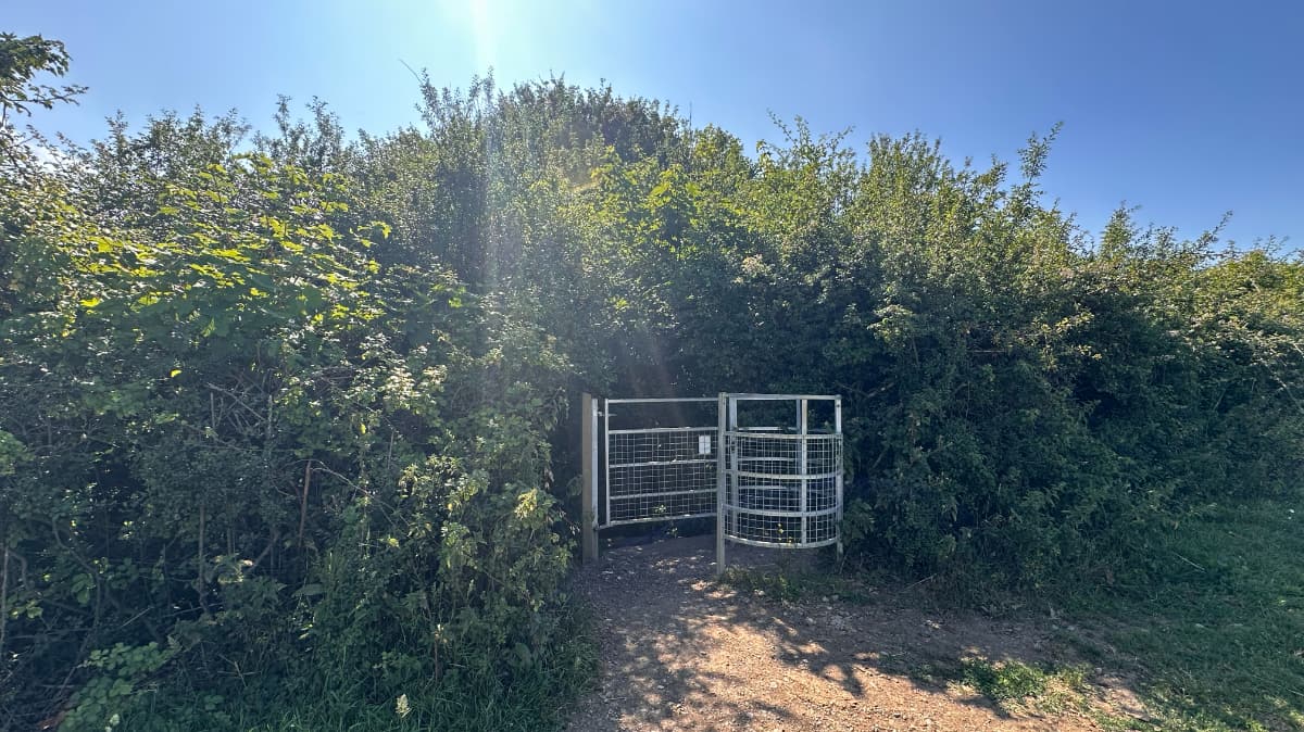Glastonbury Tor Circular