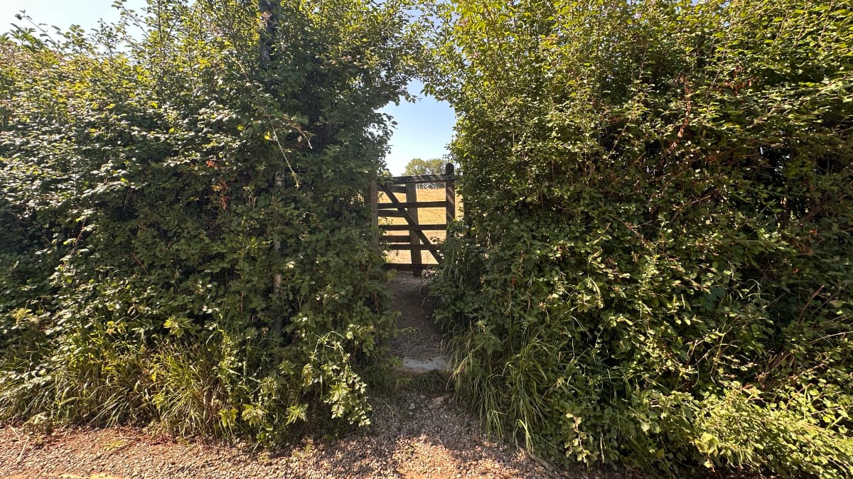 Glastonbury Tor Circular