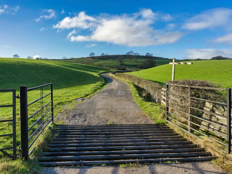 Off the Beaten Track