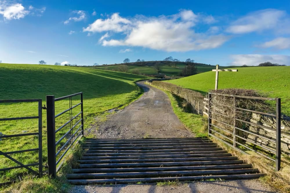 Off the Beaten Track Pic 1 Off the Beaten Track