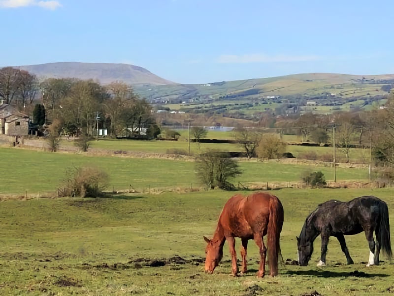 Pendle Hill