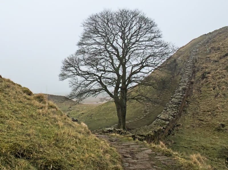 Sycamore Gap