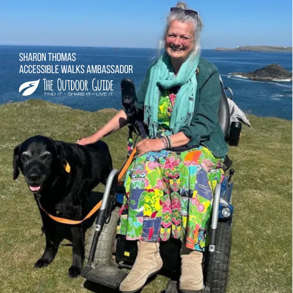 The Salt Path Newsletter C The Salt Path Newsletter