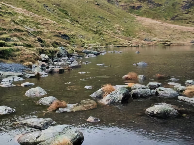 Wainwright Blencatha