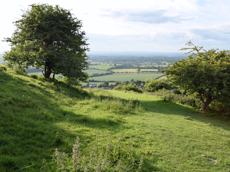 West Sussex Walks