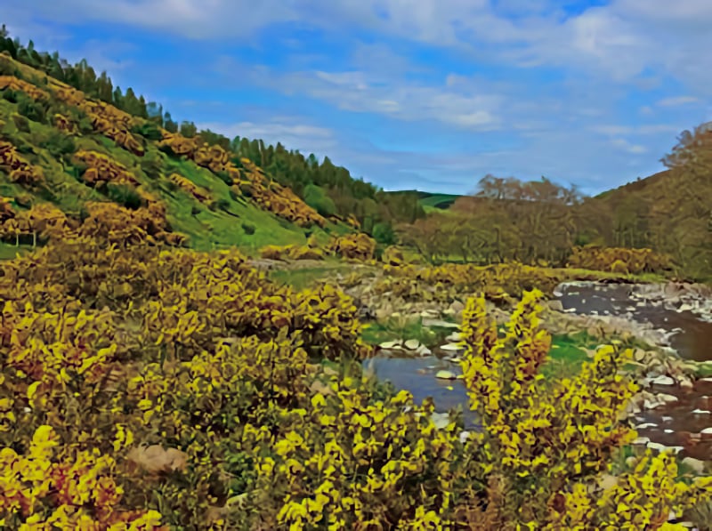 Wooler Gateway to the Cheviot