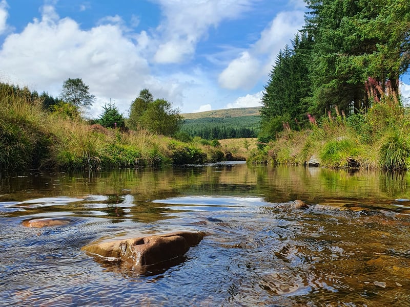 Rhyd-y benwch to Llangurig