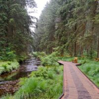 Rhyd-y benwch to Llangurig