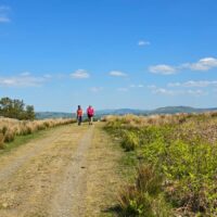 3 Rhayader to Newbridge