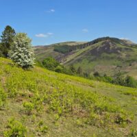 3 Rhayader to Newbridge