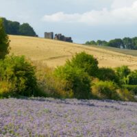 Kerne Bridge to Symonds Yat