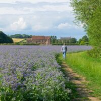 Kerne Bridge to Symonds Yat