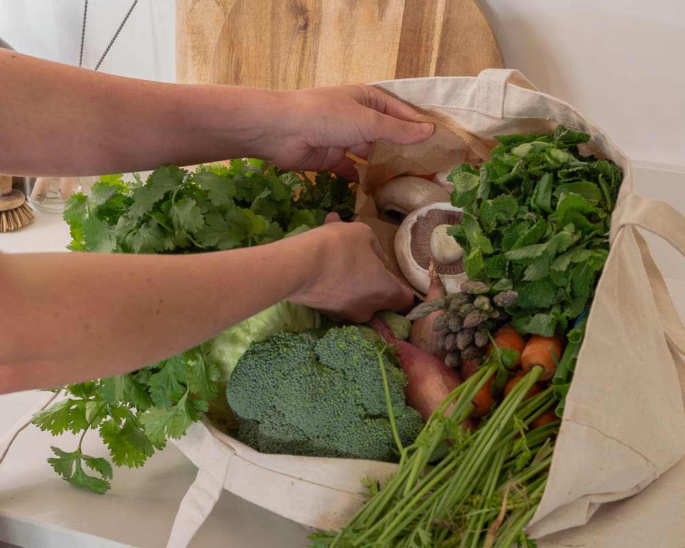 Bringing Sustainability Home