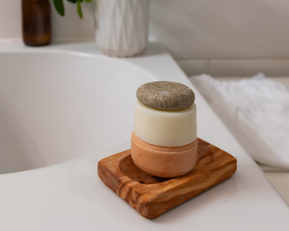 Bringing Sustainability Home