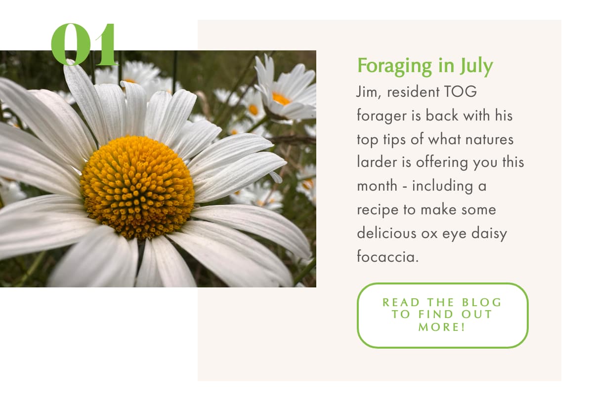 Summer holiday fun 1 Summer holiday fun