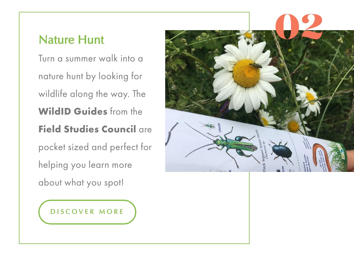 Summer holiday fun 2 Summer holiday fun