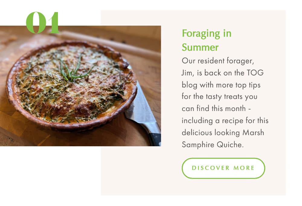 Backwards Walks 1 Backwards Walks
