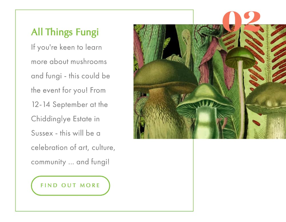 Backwards Walks 2 Backwards Walks