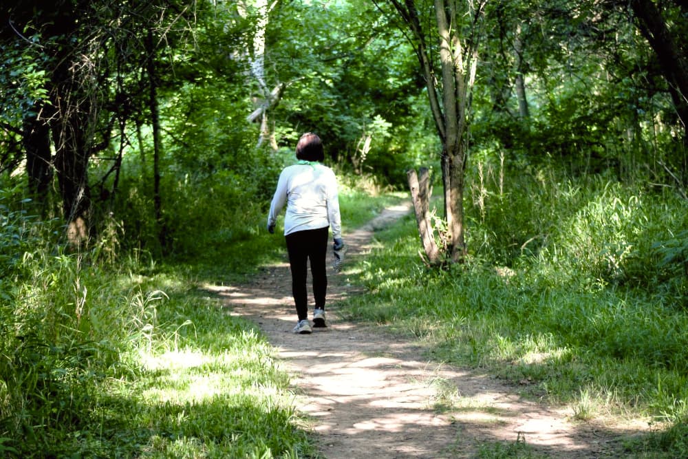 Backwards Walks A Backwards Walks