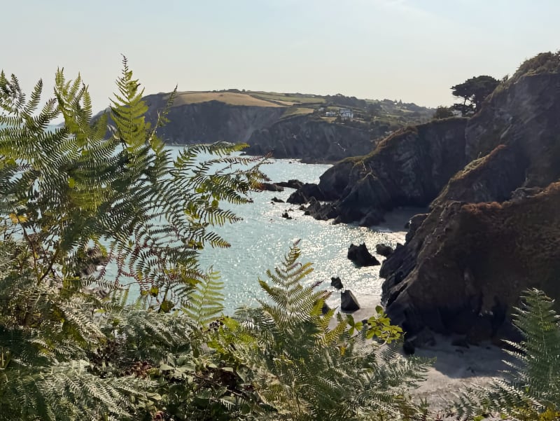Lee Bay and Woolacombe