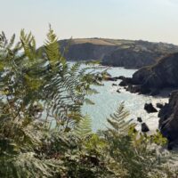 Lee Bay and Woolacombe loop