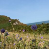 Lee Bay and Woolacombe loop
