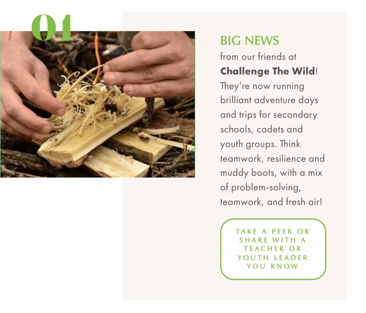 Coastal clean-ups 1 Coastal clean-ups