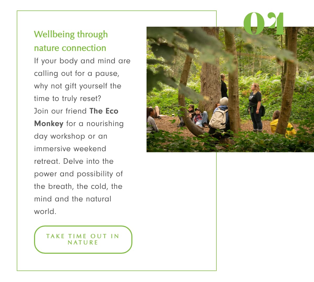 Coastal clean-ups 4 The Eco Monkey