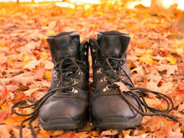 Image source: Deposit photos